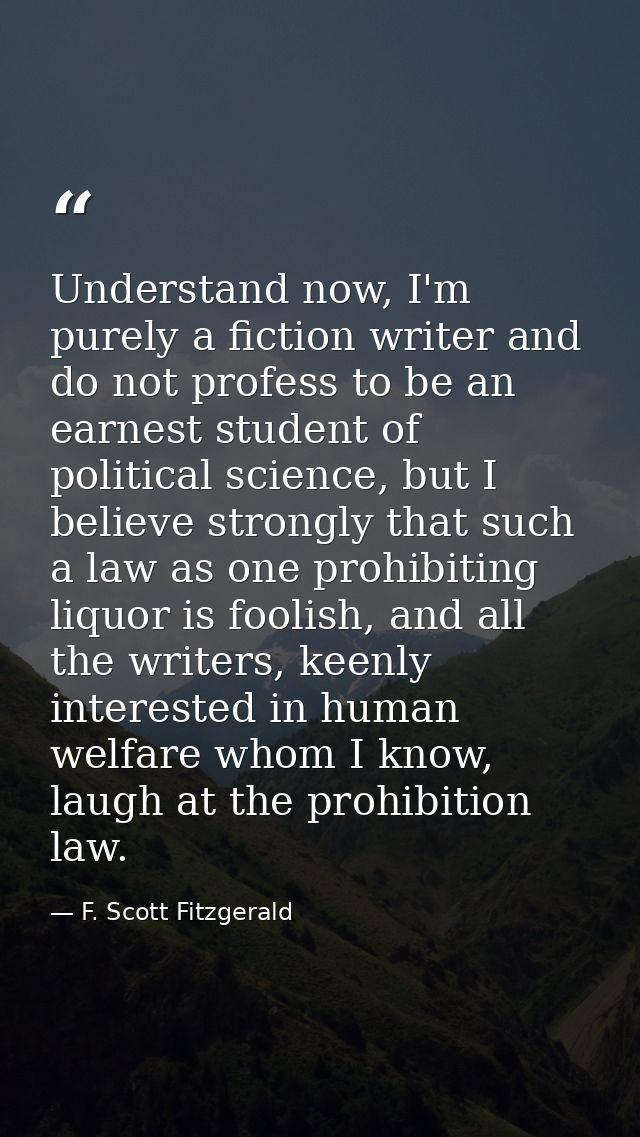 Understand now, I'm purely a fiction writer and do not profess to be an earnest student of political science, but I beli — F. Scott Fitzgerald