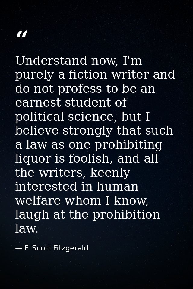 Understand now, I'm purely a fiction writer and do not profess to be an earnest student of political science, but I beli — F. Scott Fitzgerald