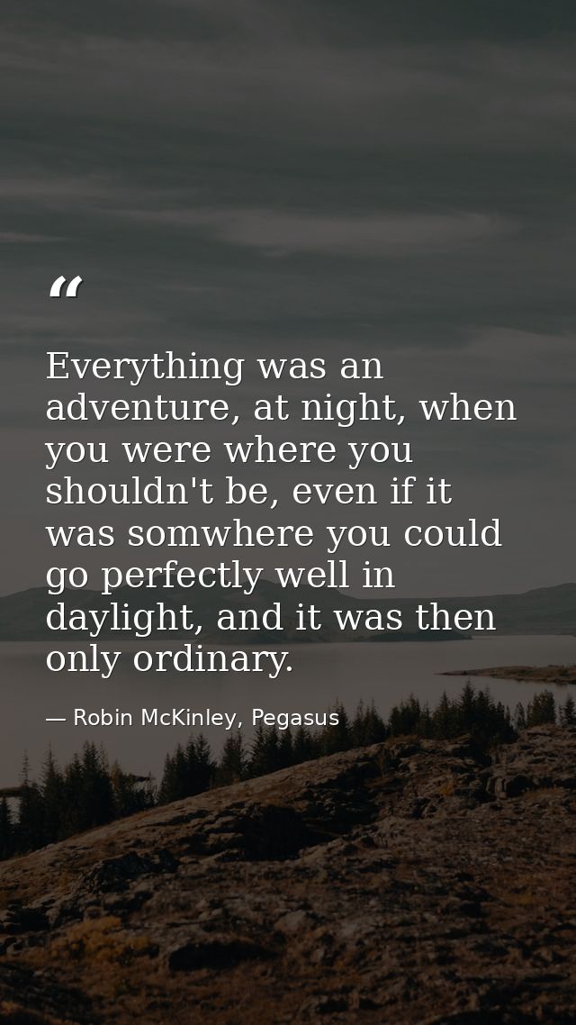 Everything was an adventure, at night, when you were where you shouldn't be, even if it was somwhere you could go perfec — Robin McKinley, Pegasus
