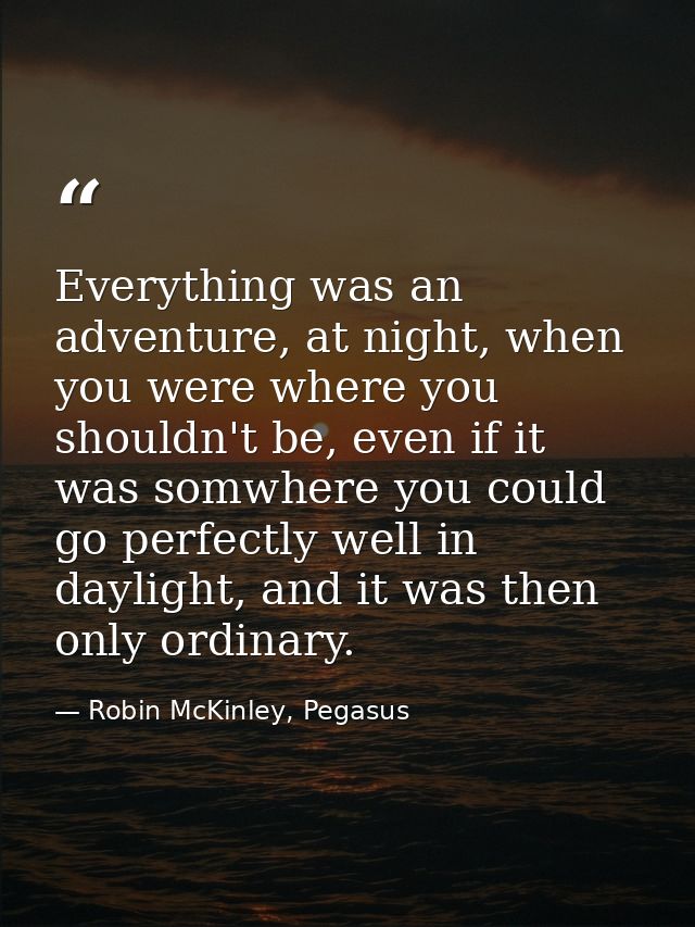 Everything was an adventure, at night, when you were where you shouldn't be, even if it was somwhere you could go perfec — Robin McKinley, Pegasus