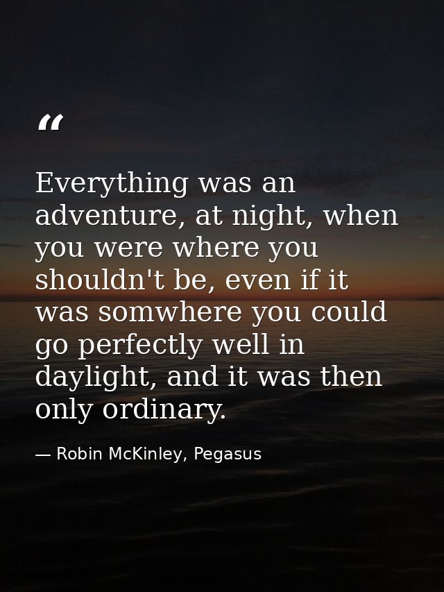 Everything was an adventure, at night, when you were where you shouldn't be, even if it was somwhere you could go perfec — Robin McKinley, Pegasus