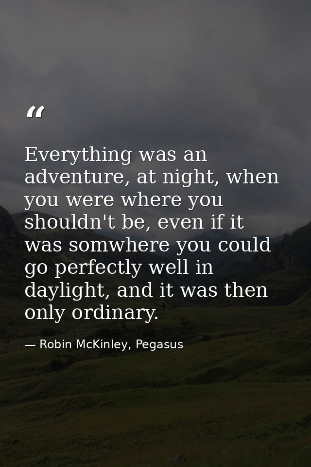 Everything was an adventure, at night, when you were where you shouldn't be, even if it was somwhere you could go perfec — Robin McKinley, Pegasus