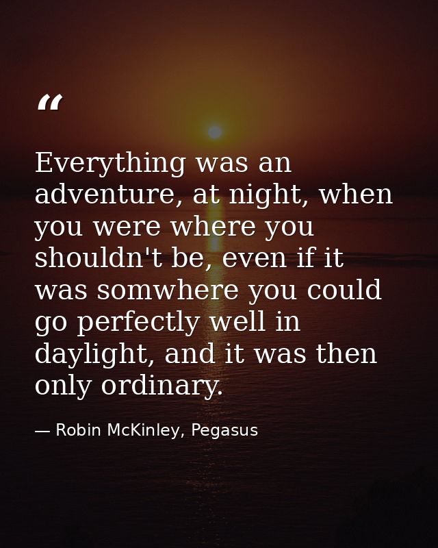 Everything was an adventure, at night, when you were where you shouldn't be, even if it was somwhere you could go perfec — Robin McKinley, Pegasus