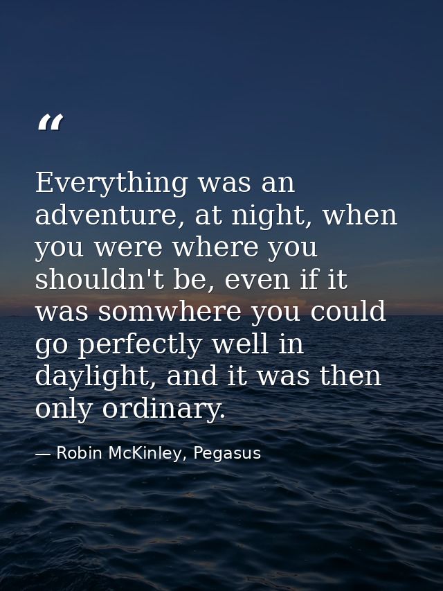 Everything was an adventure, at night, when you were where you shouldn't be, even if it was somwhere you could go perfec — Robin McKinley, Pegasus