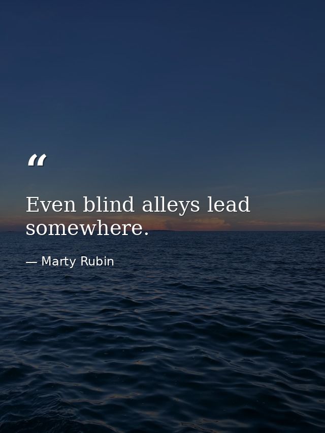 Even blind alleys lead somewhere. — Marty Rubin