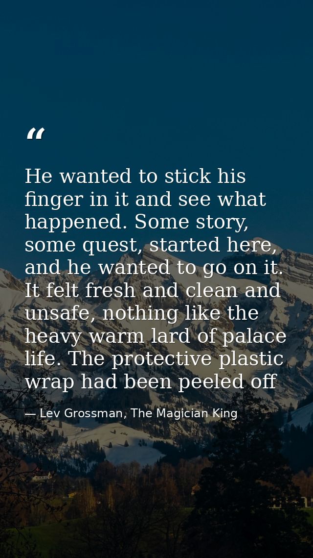 He wanted to stick his finger in it and see what happened. Some story, some quest, started here, and he wanted to go on  — Lev Grossman, The Magician King