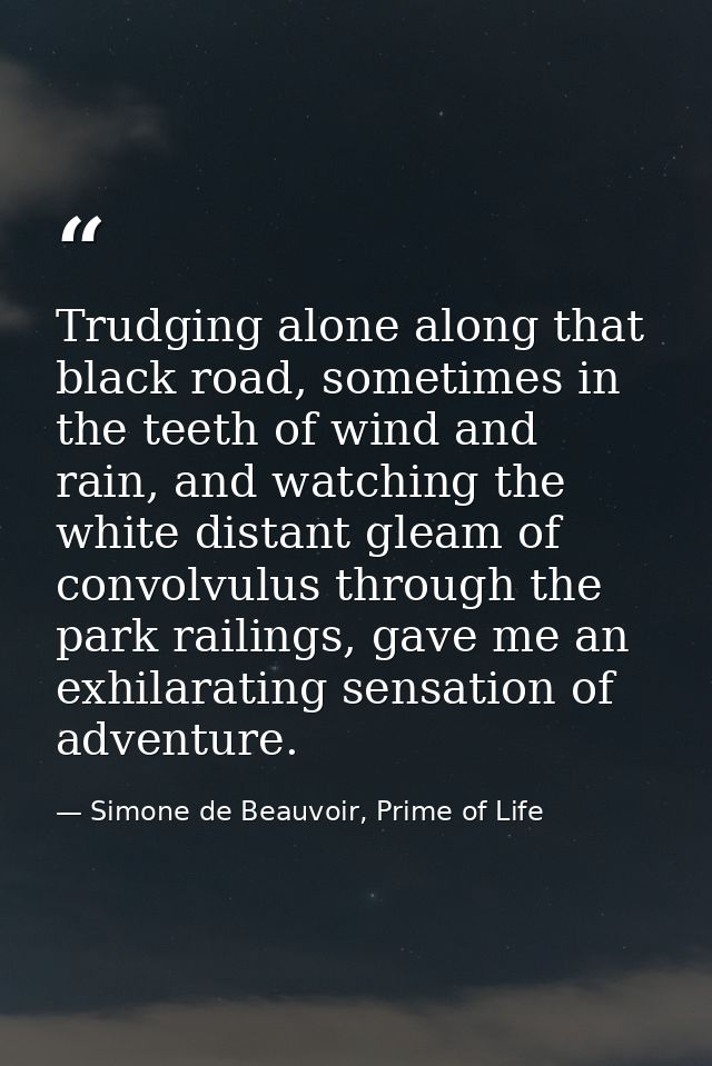 Trudging alone along that black road, sometimes in the teeth of wind and rain, and watching the white distant gleam of c — Simone de Beauvoir, Prime of Life