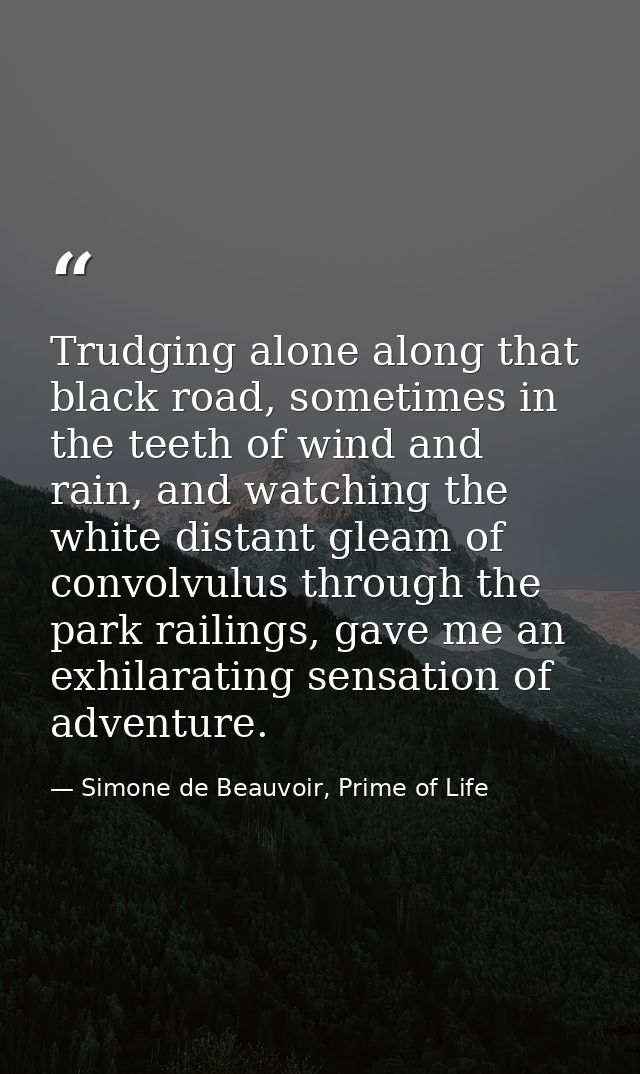 Trudging alone along that black road, sometimes in the teeth of wind and rain, and watching the white distant gleam of c — Simone de Beauvoir, Prime of Life