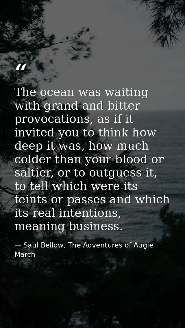 The ocean was waiting with grand and bitter provocations, as if it invited you to think how deep it was, how much colder — Saul Bellow, The Adventures of Augie March
