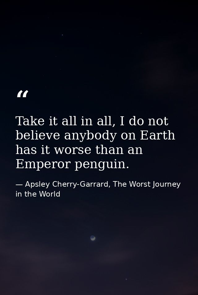 Take it all in all, I do not believe anybody on Earth has it worse than an Emperor penguin. — Apsley Cherry-Garrard, The Worst Journey in the World