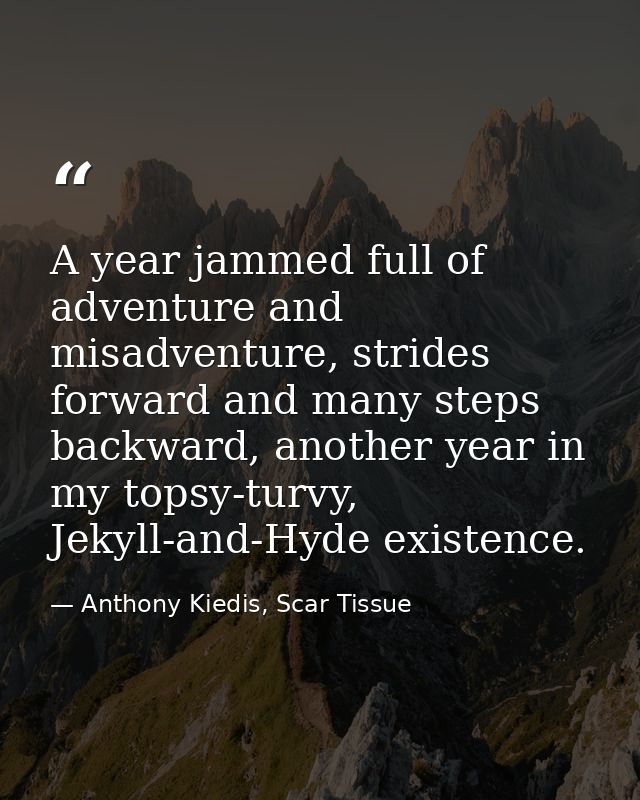A year jammed full of adventure and misadventure, strides forward and many steps backward, another year in my topsy-turv — Anthony Kiedis, Scar Tissue