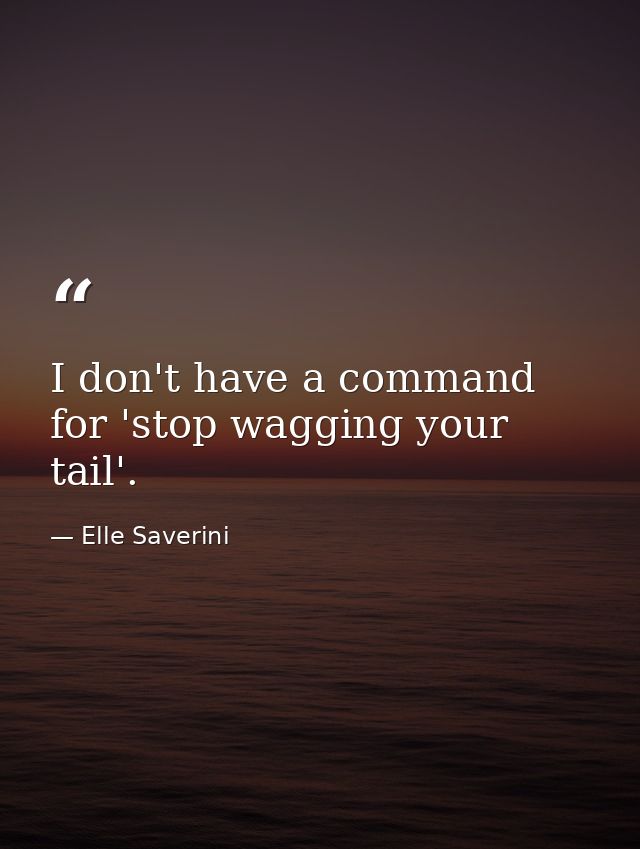 I don't have a command for 'stop wagging your tail'. — Elle Saverini