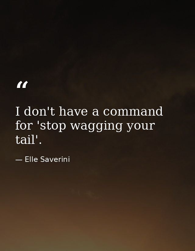 I don't have a command for 'stop wagging your tail'. — Elle Saverini