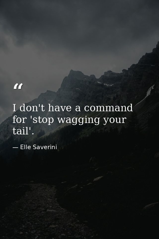 I don't have a command for 'stop wagging your tail'. — Elle Saverini
