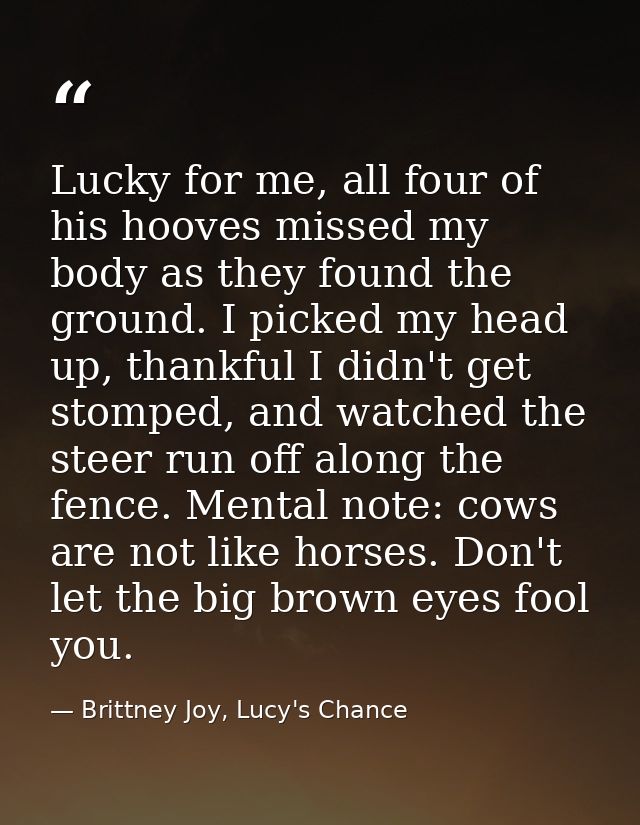Lucky for me, all four of his hooves missed my body as they found the ground. I picked my head up, thankful I didn't get — Brittney Joy, Lucy's Chance