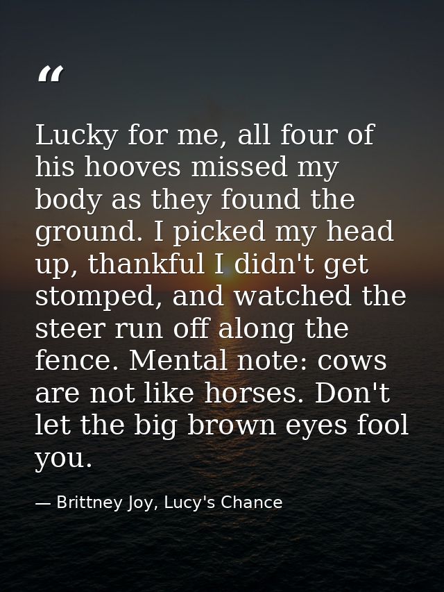Lucky for me, all four of his hooves missed my body as they found the ground. I picked my head up, thankful I didn't get — Brittney Joy, Lucy's Chance