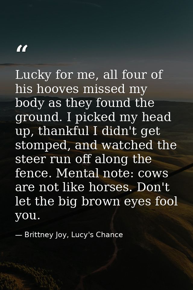 Lucky for me, all four of his hooves missed my body as they found the ground. I picked my head up, thankful I didn't get — Brittney Joy, Lucy's Chance