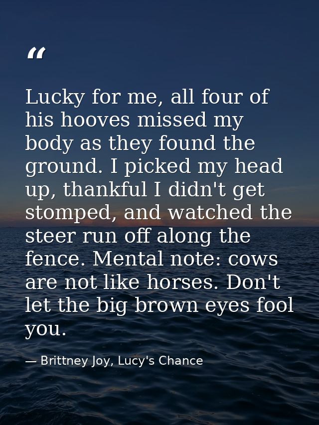 Lucky for me, all four of his hooves missed my body as they found the ground. I picked my head up, thankful I didn't get — Brittney Joy, Lucy's Chance