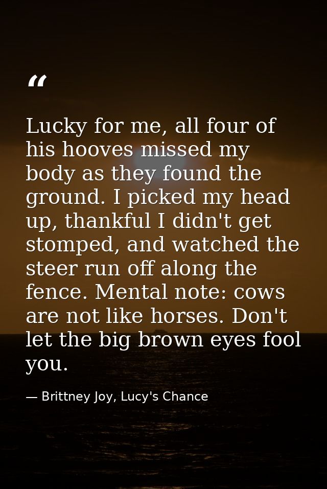 Lucky for me, all four of his hooves missed my body as they found the ground. I picked my head up, thankful I didn't get — Brittney Joy, Lucy's Chance