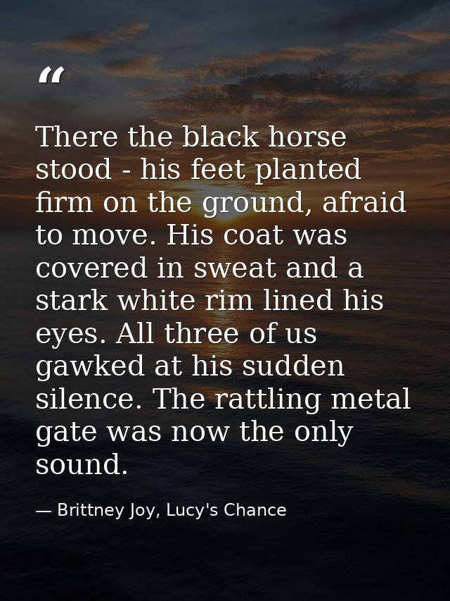 There the black horse stood - his feet planted firm on the ground, afraid to move. His coat was covered in sweat and a s — Brittney Joy, Lucy's Chance