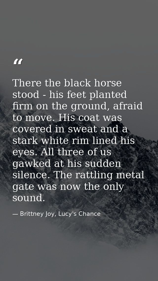 There the black horse stood - his feet planted firm on the ground, afraid to move. His coat was covered in sweat and a s — Brittney Joy, Lucy's Chance