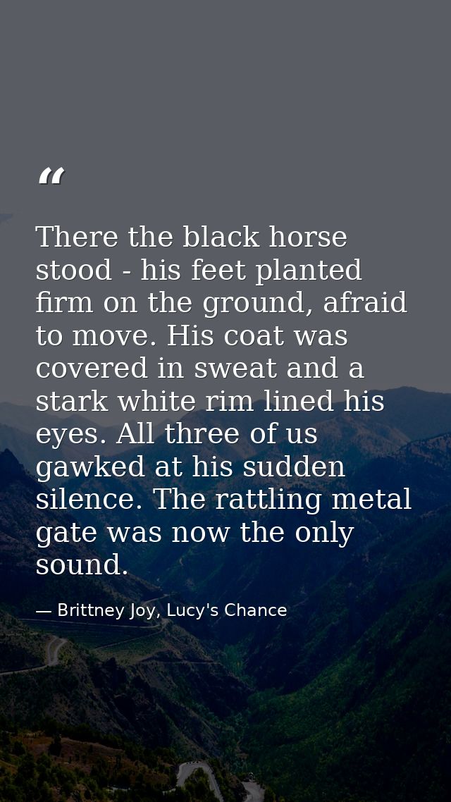 There the black horse stood - his feet planted firm on the ground, afraid to move. His coat was covered in sweat and a s — Brittney Joy, Lucy's Chance