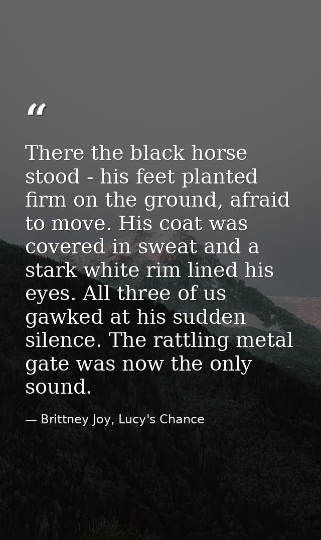 There the black horse stood - his feet planted firm on the ground, afraid to move. His coat was covered in sweat and a s — Brittney Joy, Lucy's Chance