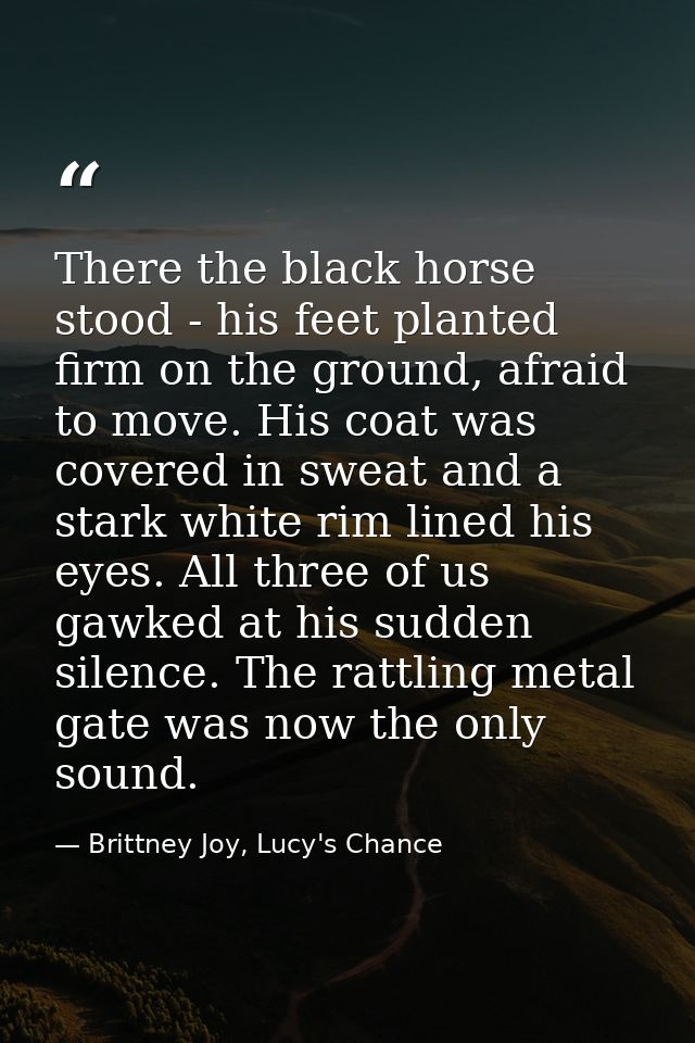 There the black horse stood - his feet planted firm on the ground, afraid to move. His coat was covered in sweat and a s — Brittney Joy, Lucy's Chance