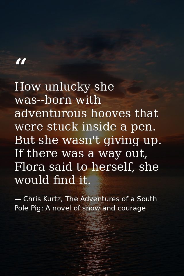 How unlucky she was--born with adventurous hooves that were stuck inside a pen. But she wasn't giving up. If there was a — Chris Kurtz, The Adventures of a South Pole Pig: A novel of snow and courage
