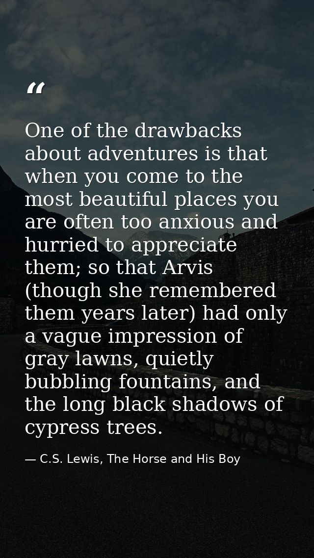 One of the drawbacks about adventures is that when you come to the most beautiful places you are often too anxious and h — C.S. Lewis, The Horse and His Boy