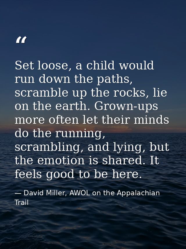 Set loose, a child would run down the paths, scramble up the rocks, lie on the earth. Grown-ups more often let their min — David Miller, AWOL on the Appalachian Trail