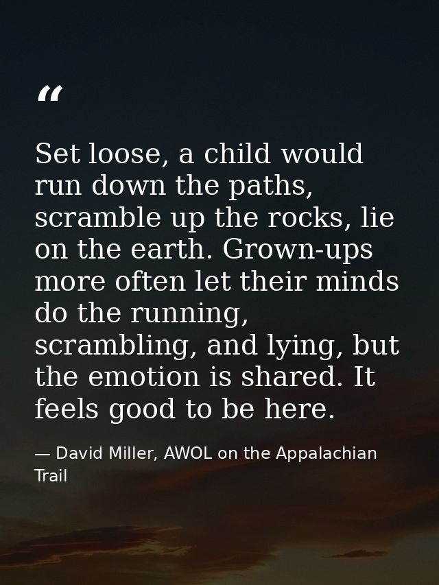 Set loose, a child would run down the paths, scramble up the rocks, lie on the earth. Grown-ups more often let their min — David Miller, AWOL on the Appalachian Trail