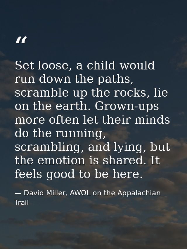 Set loose, a child would run down the paths, scramble up the rocks, lie on the earth. Grown-ups more often let their min — David Miller, AWOL on the Appalachian Trail