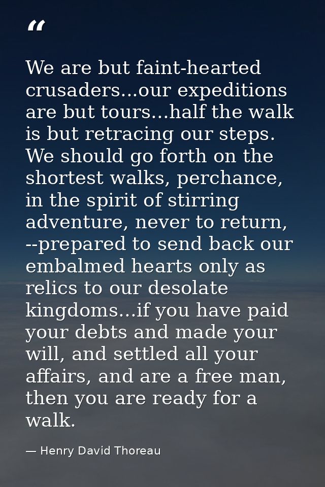 We are but faint-hearted crusaders...our expeditions are but tours...half the walk is but retracing our steps. We should — Henry David Thoreau