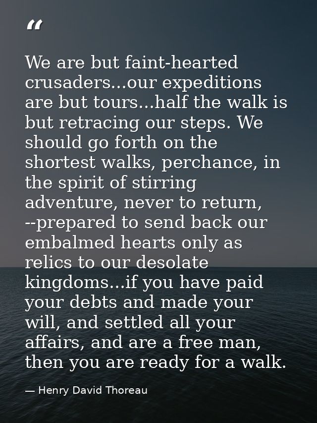 We are but faint-hearted crusaders...our expeditions are but tours...half the walk is but retracing our steps. We should — Henry David Thoreau
