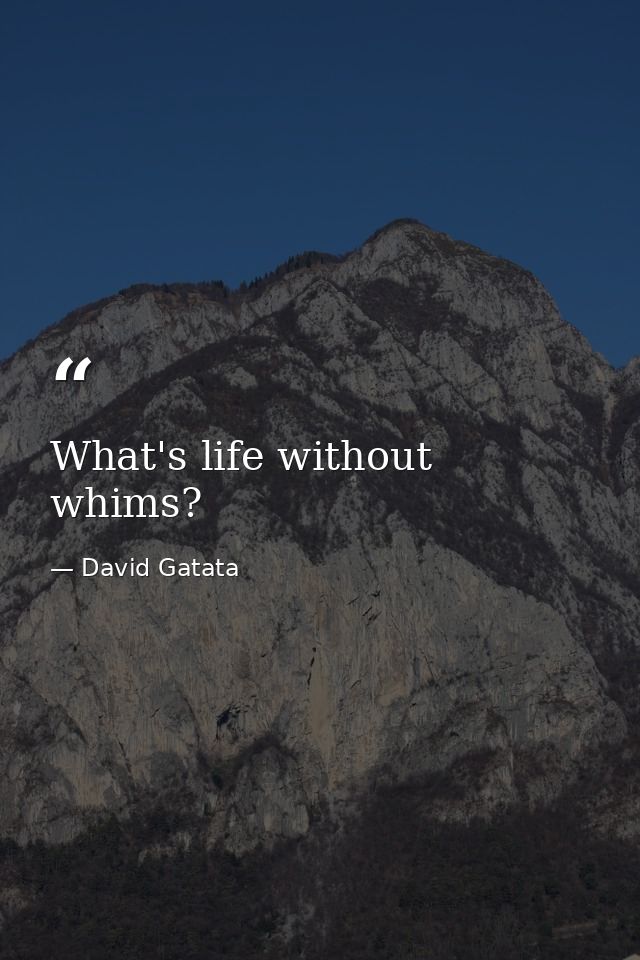 What's life without whims? — David Gatata