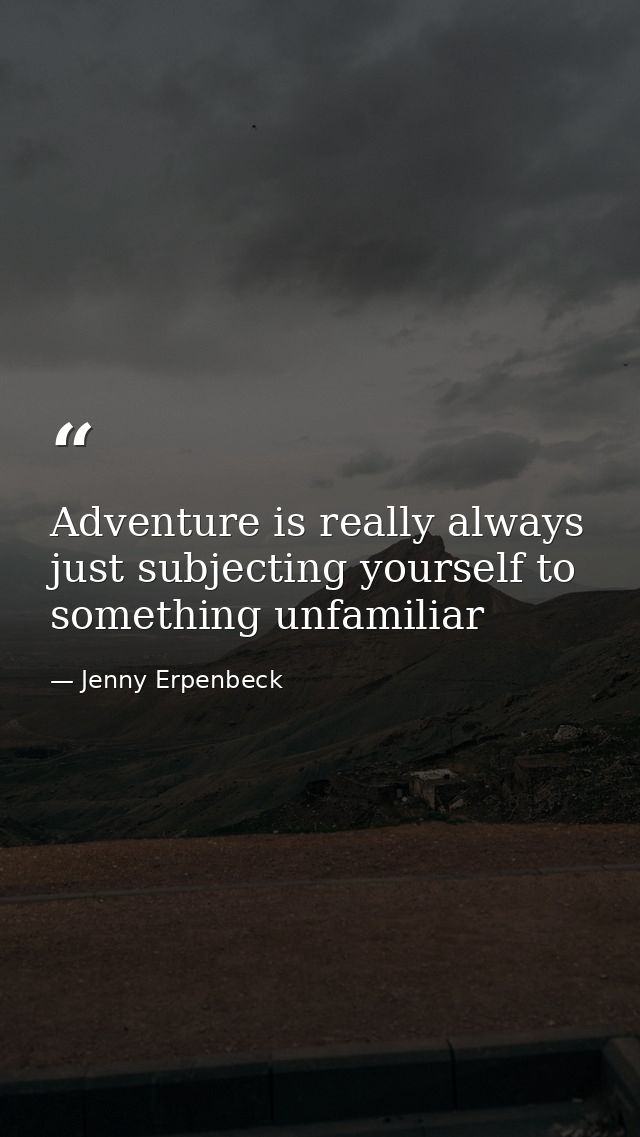 Adventure is really always just subjecting yourself to something unfamiliar — Jenny Erpenbeck
