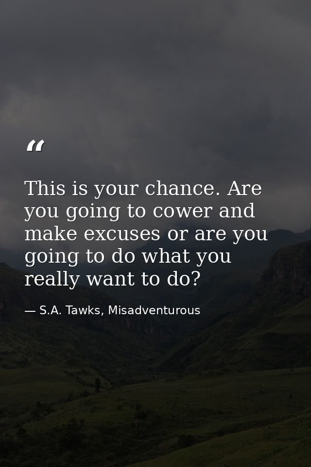 This is your chance. Are you going to cower and make excuses or are you going to do what you really want to do? — S.A. Tawks, Misadventurous