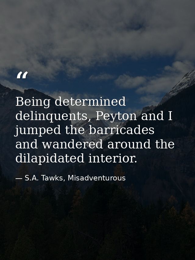 Being determined delinquents, Peyton and I jumped the barricades and wandered around the dilapidated interior. — S.A. Tawks, Misadventurous
