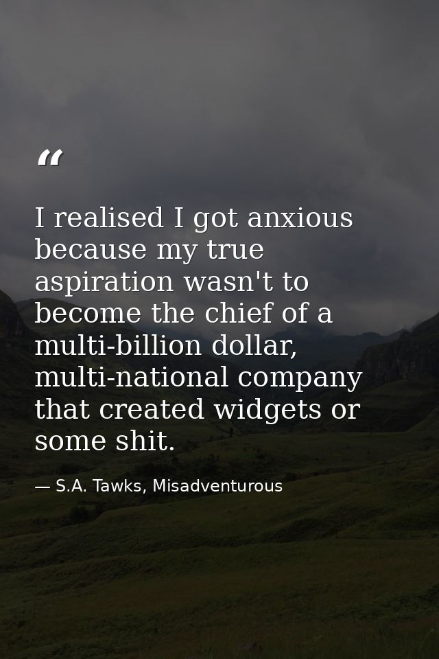 I realised I got anxious because my true aspiration wasn't to become the chief of a multi-billion dollar, multi-national — S.A. Tawks, Misadventurous