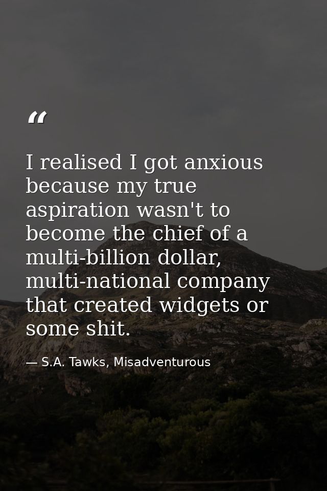 I realised I got anxious because my true aspiration wasn't to become the chief of a multi-billion dollar, multi-national — S.A. Tawks, Misadventurous