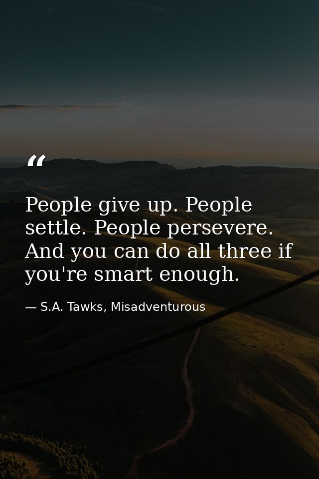 People give up. People settle. People persevere. And you can do all three if you're smart enough. — S.A. Tawks, Misadventurous