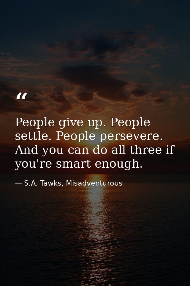 People give up. People settle. People persevere. And you can do all three if you're smart enough. — S.A. Tawks, Misadventurous