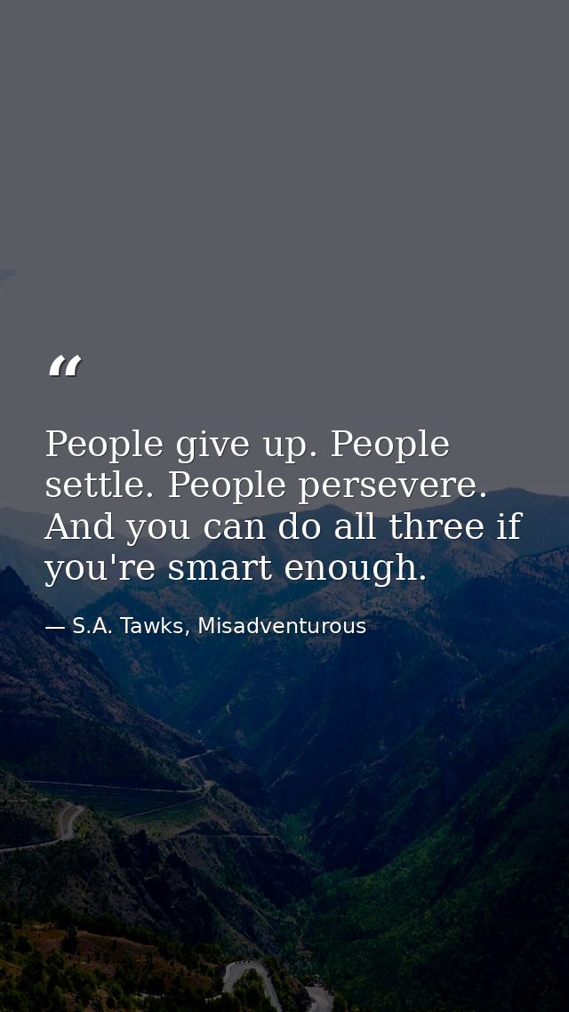 People give up. People settle. People persevere. And you can do all three if you're smart enough. — S.A. Tawks, Misadventurous
