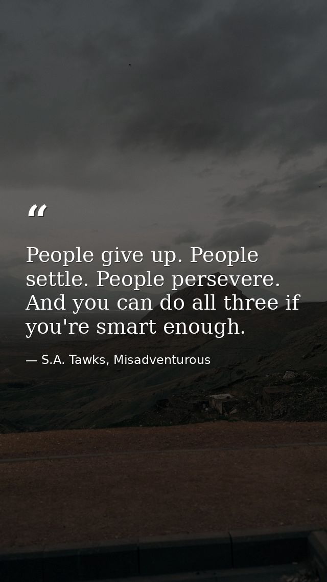 People give up. People settle. People persevere. And you can do all three if you're smart enough. — S.A. Tawks, Misadventurous