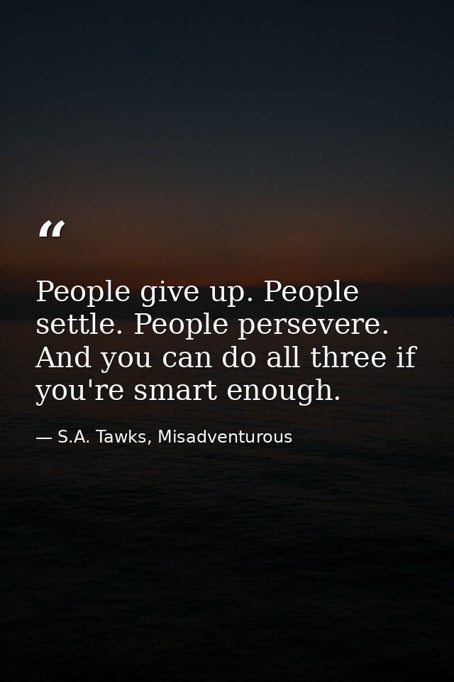People give up. People settle. People persevere. And you can do all three if you're smart enough. — S.A. Tawks, Misadventurous