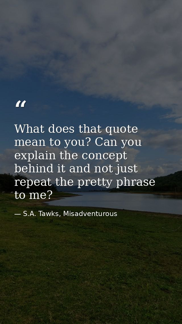 What does that quote mean to you? Can you explain the concept behind it and not just repeat the pretty phrase to me? — S.A. Tawks, Misadventurous