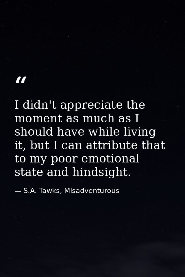 I didn't appreciate the moment as much as I should have while living it, but I can attribute that to my poor emotional s — S.A. Tawks, Misadventurous