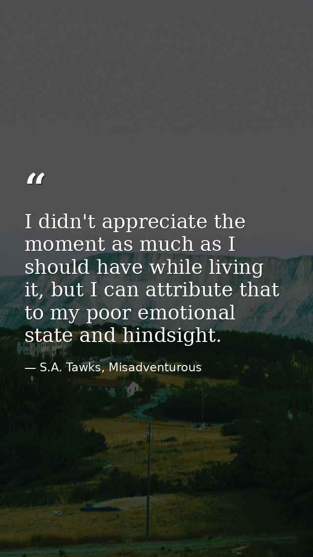 I didn't appreciate the moment as much as I should have while living it, but I can attribute that to my poor emotional s — S.A. Tawks, Misadventurous