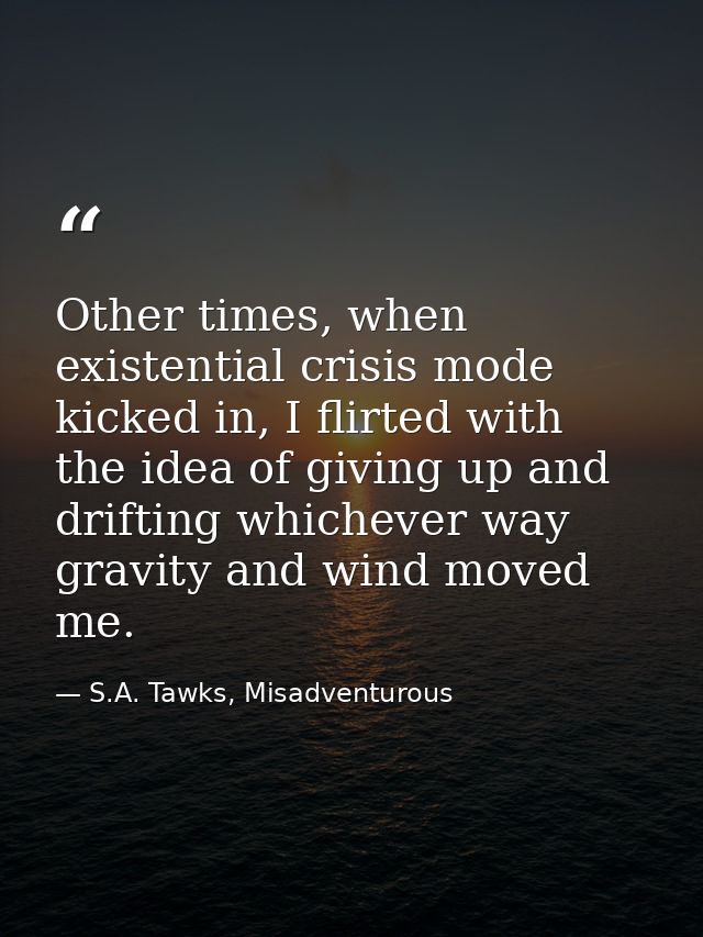 Other times, when existential crisis mode kicked in, I flirted with the idea of giving up and drifting whichever way gra — S.A. Tawks, Misadventurous